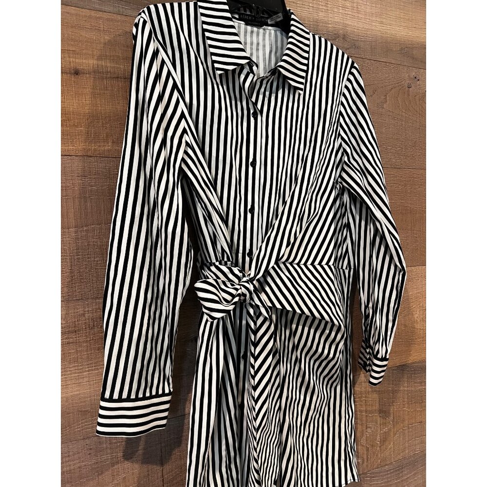 Alice + Olivia REINA DRAPED STRIPPED SHIRT DRESS size L NWOT - Picture 5 of 11